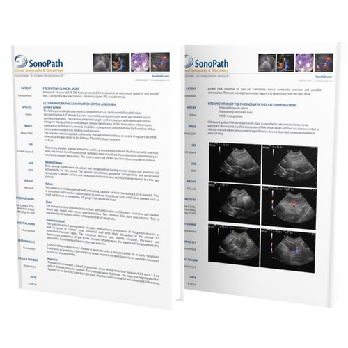 Sample Reports thumb square Sample Reports thumb square