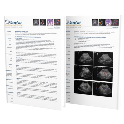 Sample Reports thumb square